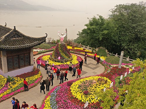 重慶五色草造型